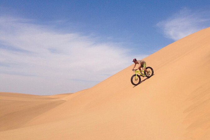 Scenic Desert Tour by Bike - Quick points to know before booking