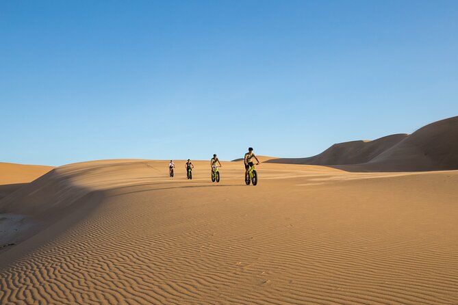 Scenic Desert Tour by Bike - What the $29.91 price really buys you