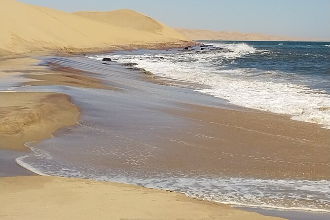 Scenic Sandwich Harbor Half Day tour - Flamingos, salt lakes, and the Walvis Bay Lagoon