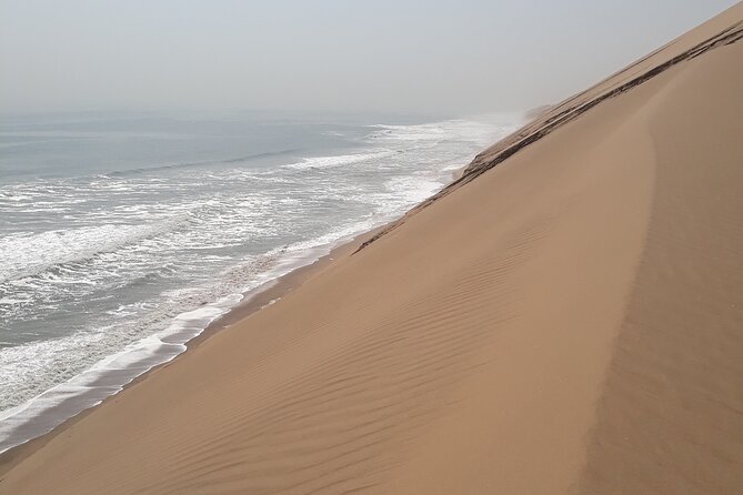 Scenic Sandwich Harbour Tour - Viewpoints, wildlife, and desert details