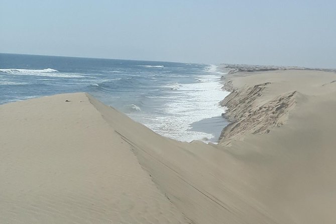 Scenic Sandwich Harbour Tour - Walvis Bay wetlands and flamingo lagoon