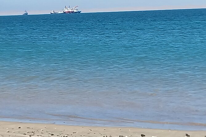 Seal Kayaking at Pelican Point from Swakopmund - Paddling with curious seals