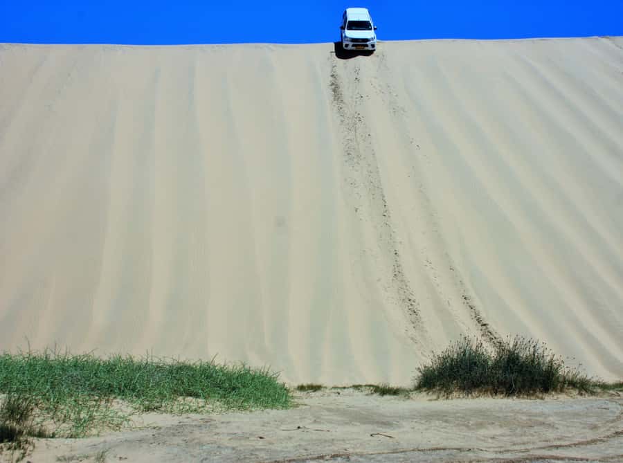 Self-Drive Guided Tour to Sandwich Harbour - The Kuiseb River delta and desert wildlife