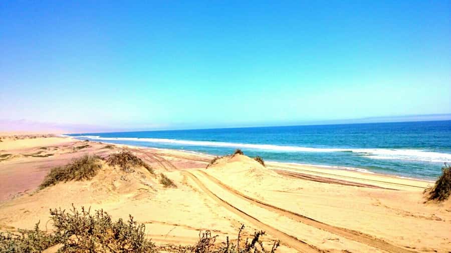 Self-Drive Guided Tour to Sandwich Harbour - Walvis Bay Lagoon and its flamingos