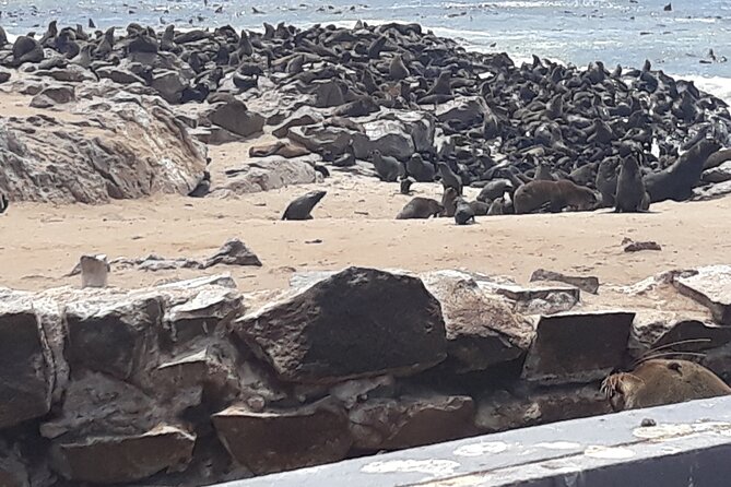 Skeleton Coast Cape Cross Seal colony Tour - The Zeila shipwreck and the coast’s maritime dangers