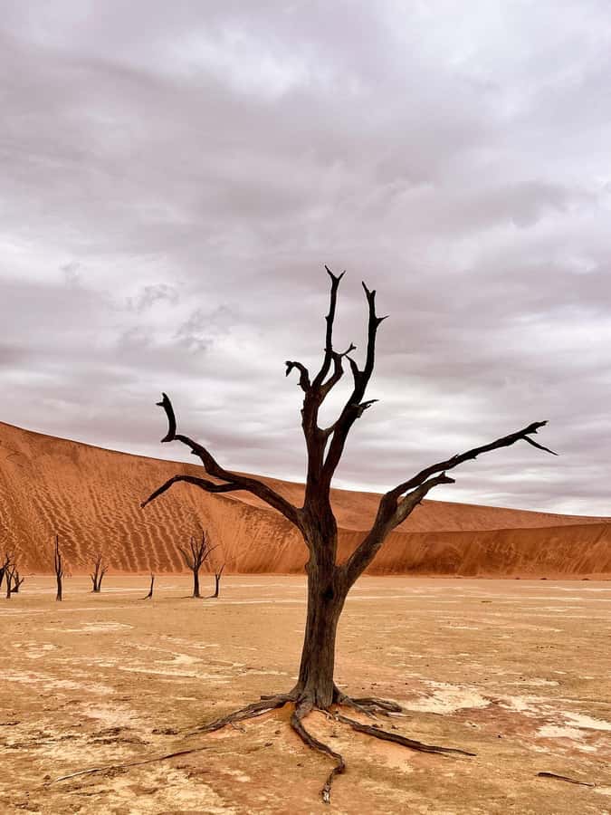 Sossusvlei: Day Trip - Key points at a glance