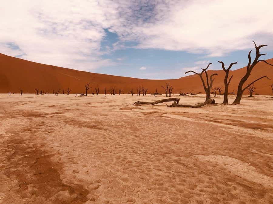 Sossusvlei: Day Trip - Dune 45 brings the first big reward
