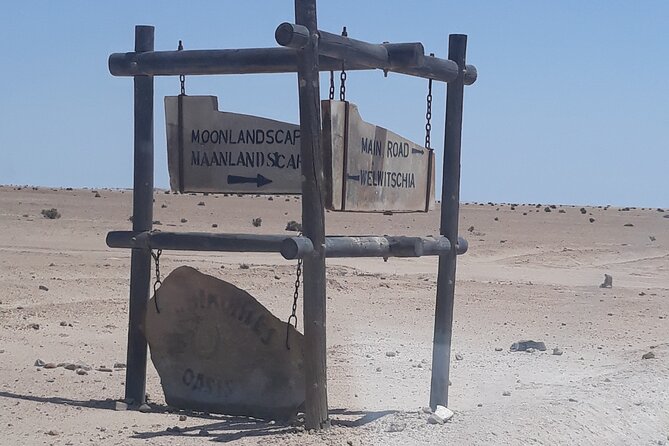 Spitzkoppe Day Tour from Swakopmund - Spitzkoppe: granite, desert plants, and ancient rock art