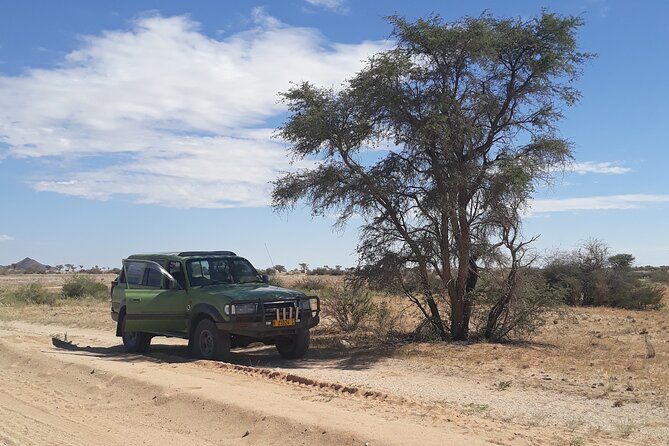 Spitzkoppe Day Tour from Swakopmund - The Rock Arch climb and the fitness question