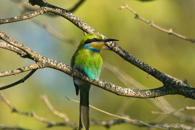 Swakop River Valley & Spitzkoppe Full Day 4x4 tour from Walvis Bay - Why this Walvis Bay day trip is worth considering