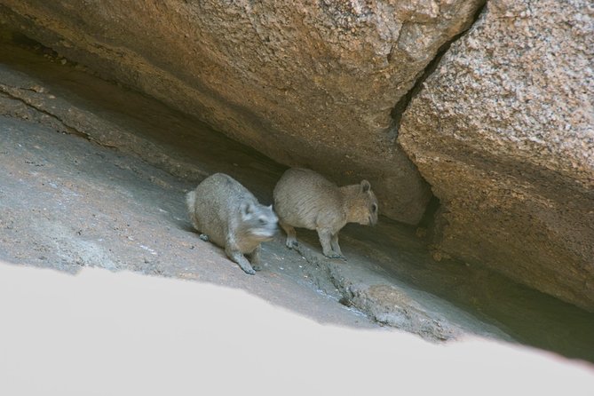 Swakop River Valley & Spitzkoppe Full Day 4x4 tour from Walvis Bay - Rock formations along the Swakop River