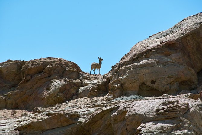 Swakop River Valley & Spitzkoppe Full Day 4x4 tour from Walvis Bay - Two hours in the dry Namib-Naukluft terrain