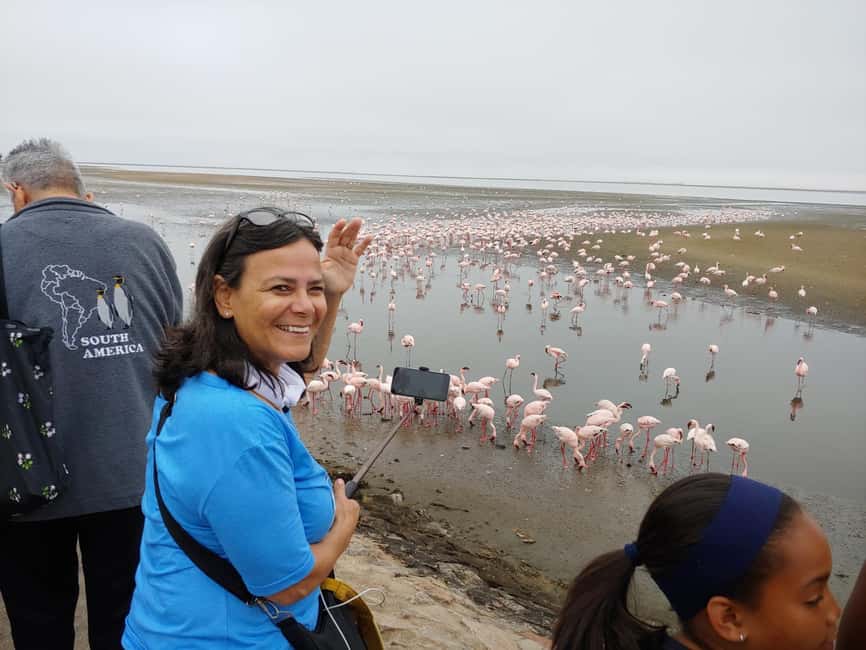 swakopmund city tour dune 7 pink lake pink flamingos - Dune 7: the big sand stop