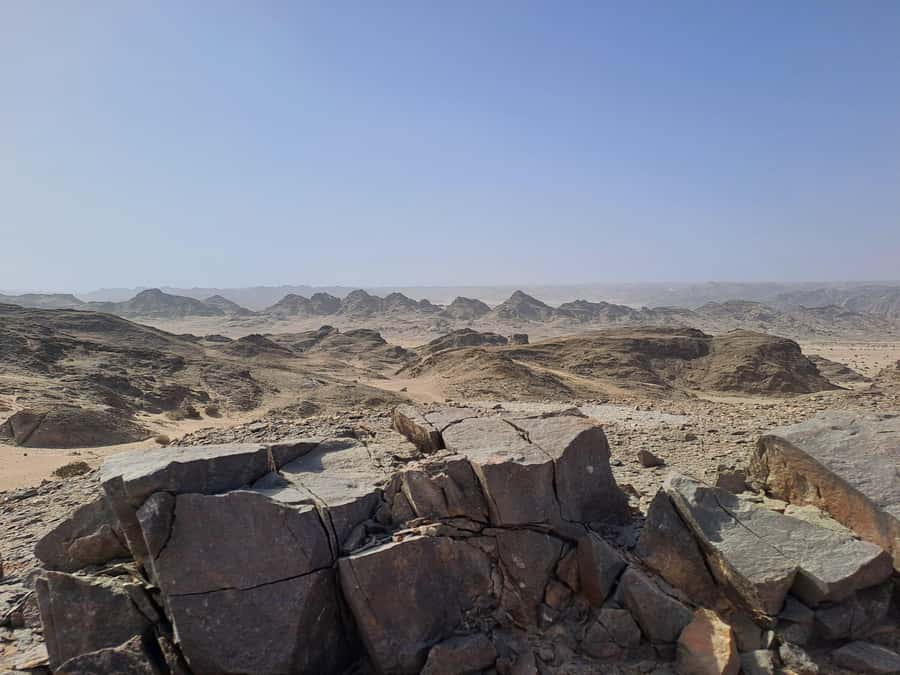 Swakopmund: Moon Valley and Namib Desert Welwitschia Tour - The viewpoint and the quieter secret stop