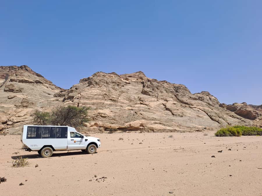 Swakopmund: Moon Valley and Namib Desert Welwitschia Tour - What the guides add to the four hours