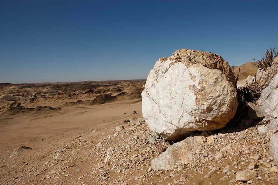 Swakopmund: Moon Valley and Namib Desert Welwitschia Tour - Reading the ancient cuts of Moon Valley