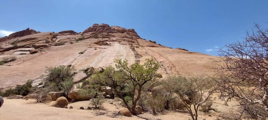 Swakopmund: Spitzkoppe Day Tour with Hotel Pickup - Five things to know before you book