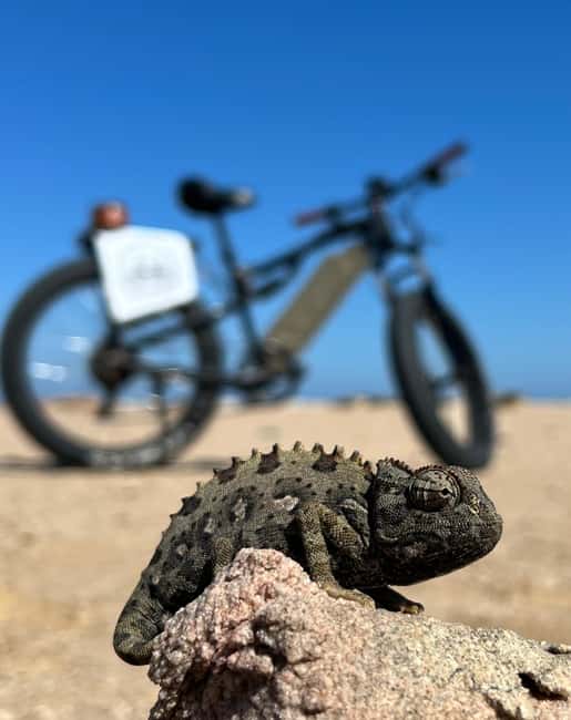 Swakopmund: "UP CLOSE" Living Desert E-FatBike Tour - Why this desert ride feels different