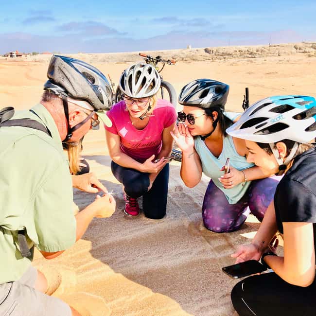 Swakopmund: "UP CLOSE" Living Desert E-FatBike Tour - Gravel plains and the small creatures beneath the sand