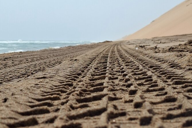 Unforgettable Half Day Adventure, Explore Sandwich Harbour - What The Small Group Means In Practice