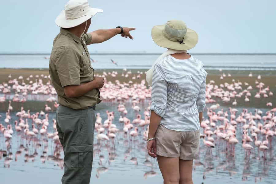 Walvis Bay: 4x4 Desert Excursion to Sandwich Harbour Bay - Why Sandwich Harbour is worth your half-day