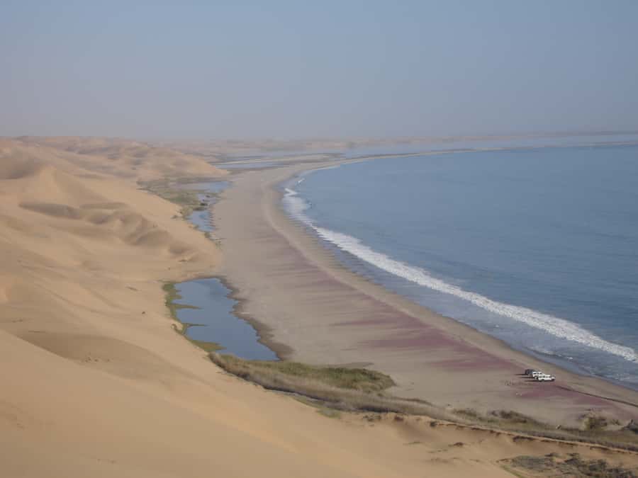 Walvis Bay: 4x4 Desert Excursion to Sandwich Harbour Bay - Guides make the difference