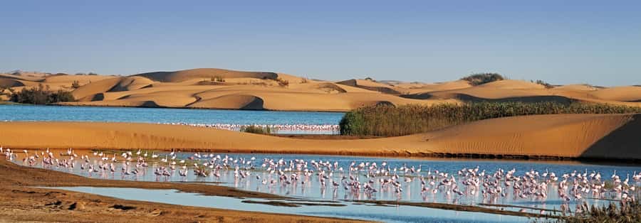 Walvis Bay and Sandwich Harbour Tour - Is $140 a fair price?