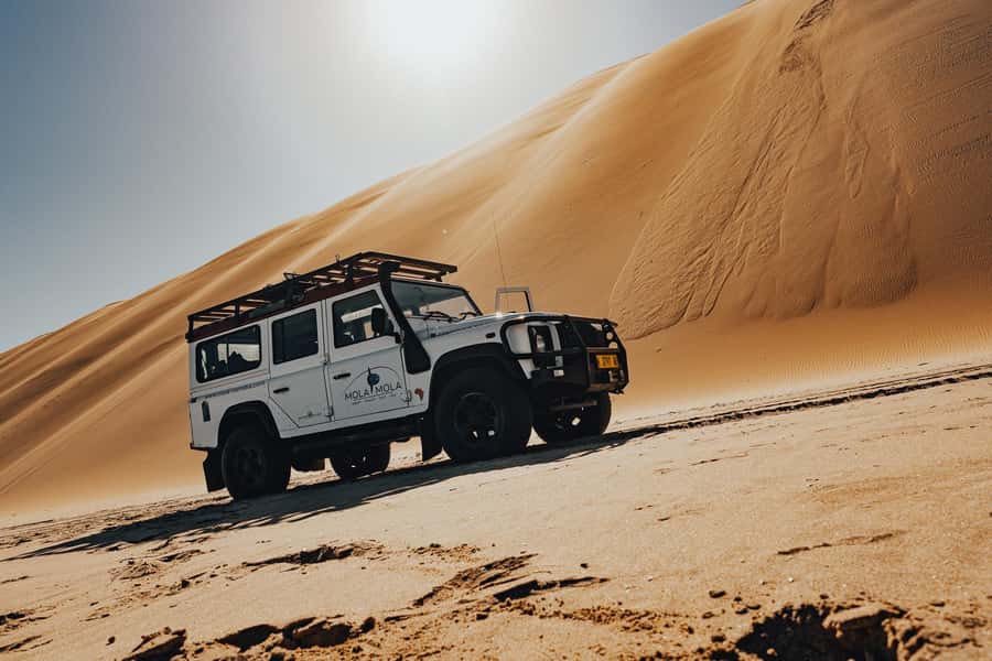 Walvis Bay: Dolphin Cruise, Pink Lakes and 4x4 Dune Drive - Key points before you book