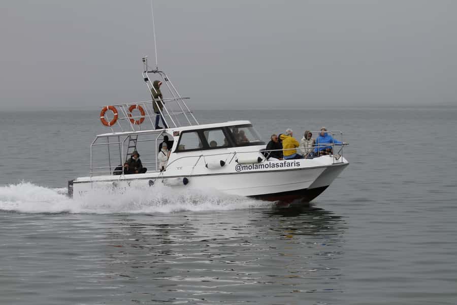 Walvis Bay: Dolphin Cruise, Pink Lakes and 4x4 Dune Drive - What to bring and what to leave behind