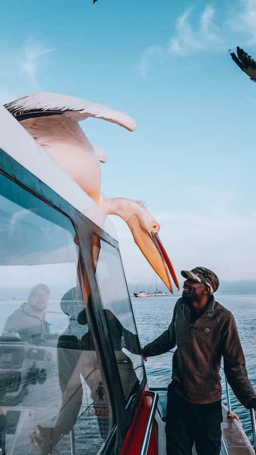 Walvis Bay: Dolphin Cruise, Pink Lakes and 4x4 Dune Drive - Who will get the most from this $385 experience?