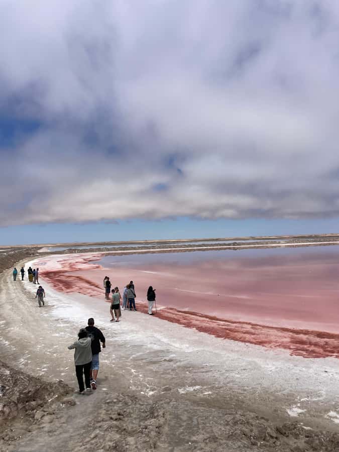 Walvis Bay: Half-Day Tour with Dune 7 and Pink Lake - Starting at Anchors Waterfront Restaurant