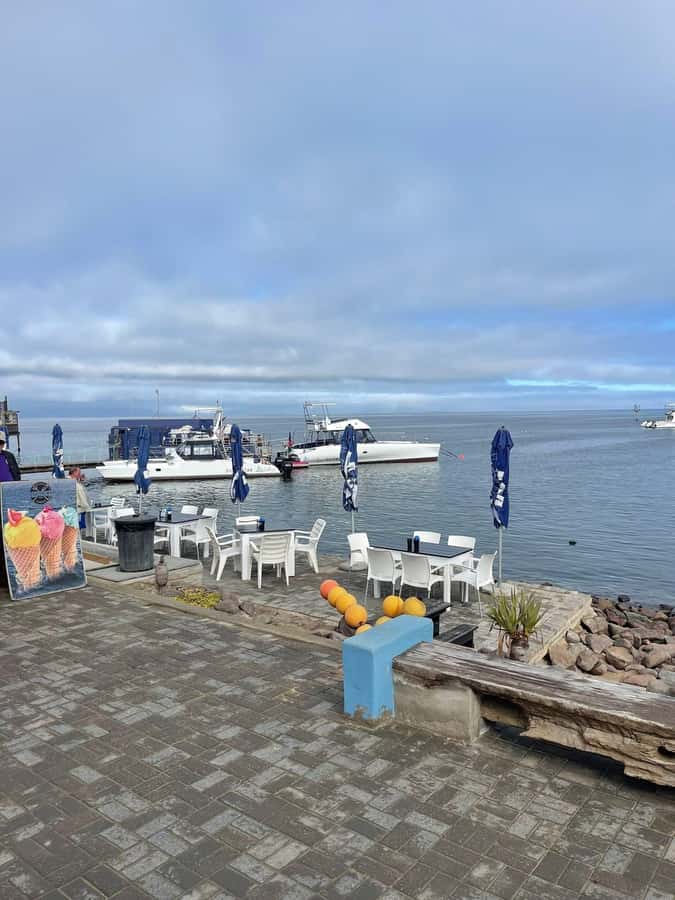 Walvis Bay: Half-Day Tour with Dune 7 and Pink Lake - How the guiding shapes the experience