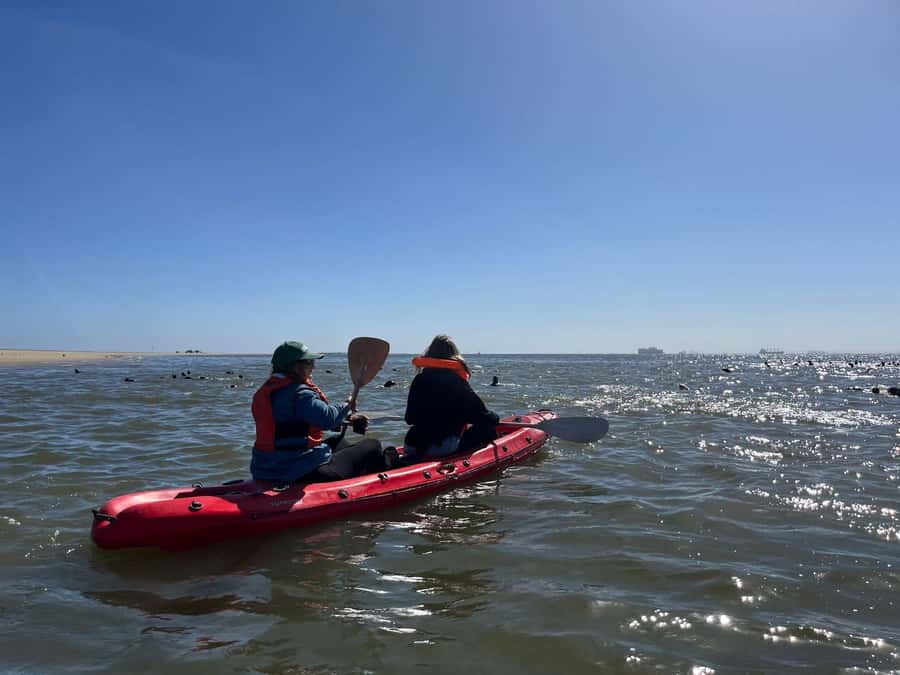 Walvis Bay: Kayaking and Sandwich Harbour Full-Day Tour - Key points to know before booking