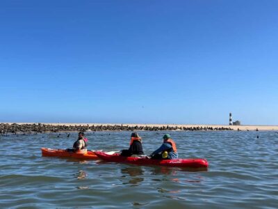 Kayaking and Sandwich Harbour Full-Day Tour