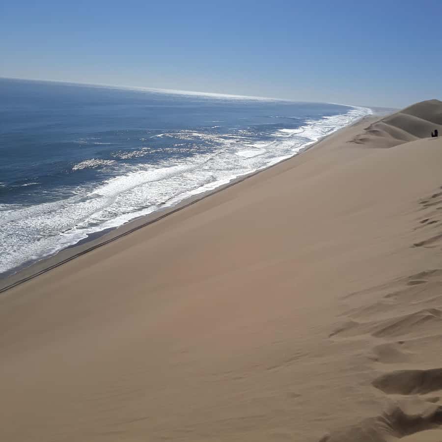 Walvis Bay: Kayaking and Sandwich Harbour Full-Day Tour - The dune drive is exciting, but not gentle