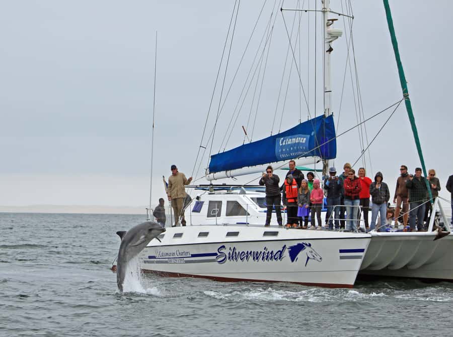 Walvis Bay: Marine Big 5 Luxury Catamaran Tour - The lunch that makes the price easier to accept