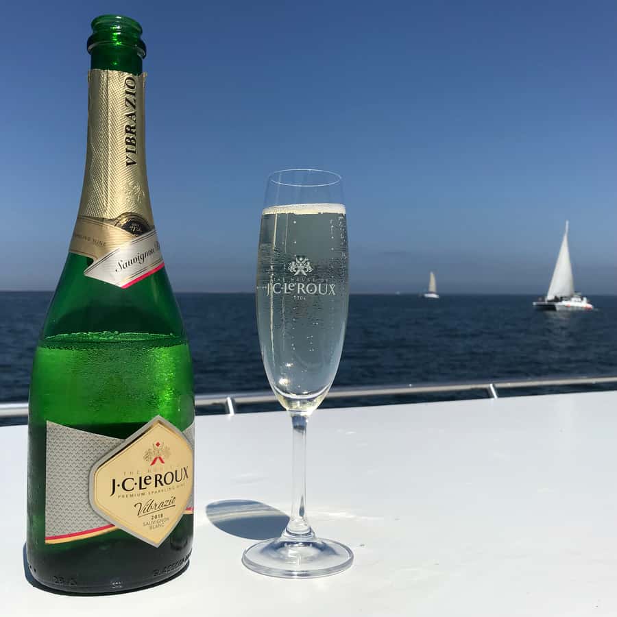 Walvis Bay: Marine Big 5 Luxury Catamaran Tour - Practical ways to get more from the morning