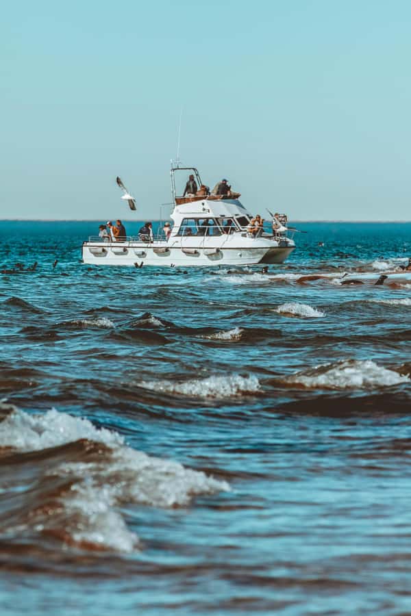Walvis Bay: Namibian Coast Dolphin Cruise with Light Lunch - Setting Out From Walvis Bay Waterfront