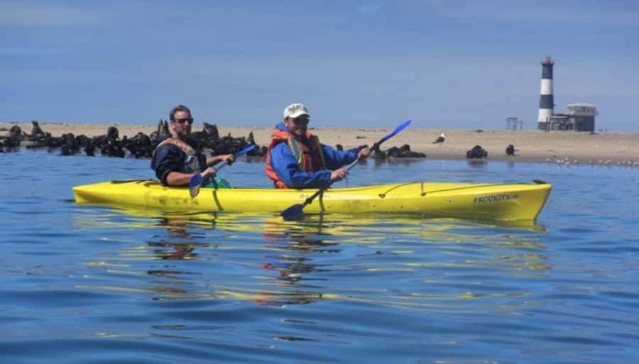 Walvis Bay: Pelican Point Kayaking Tour - Key points to know before you book