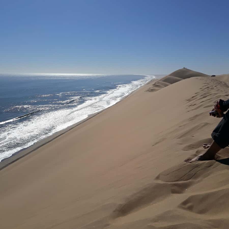 Walvis Bay: Pelican Point Seal and Sandwich Harbour Tour - Who should book this tour?