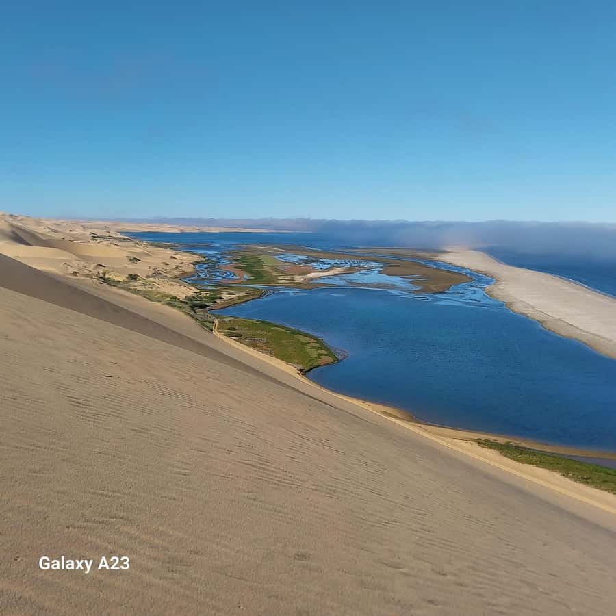 Walvis Bay: Pelican Point Seal and Sandwich Harbour Tour - The !Nara Valley game drive
