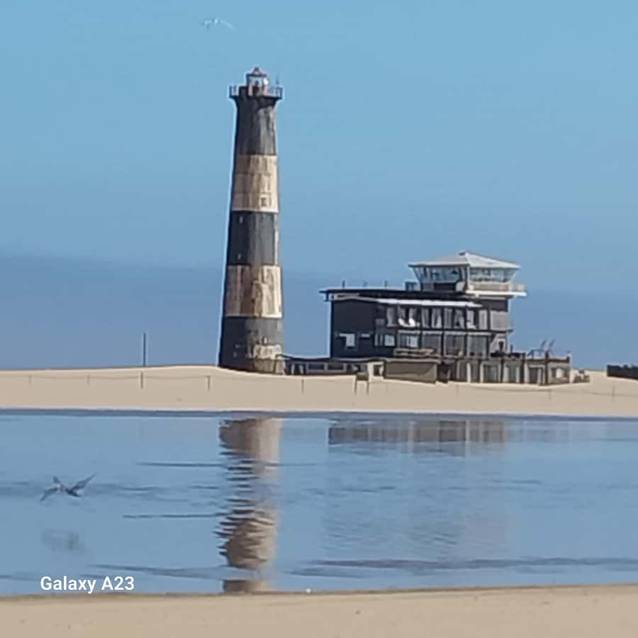 Walvis Bay: Pelican Point Seal and Sandwich Harbour Tour - Pelican Point and its famously friendly seals