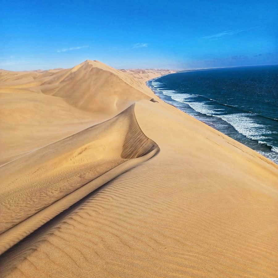 Walvis Bay: Sandwich Harbour Half-Day 4x4 Scenic Excursion - Exploring the Sandwich Harbour wetland