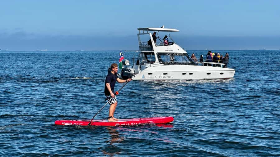 Walvis Bay: Seal Kayaking Adventure with Brunch - Starting at the Walvis Bay Waterfront
