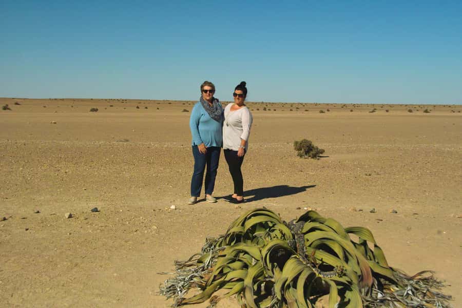 Walvis Bay Shore Excursion: Flamingos, Dune 7, Swakopmund - The coastal return to Walvis Bay Port