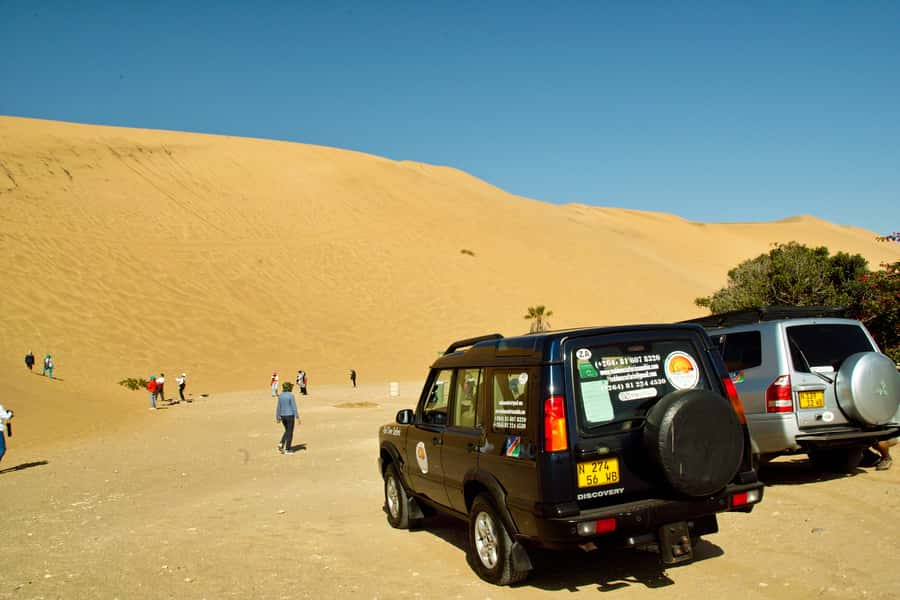 Walvis Bay Shore Excursion: Flamingos, Dune 7, Swakopmund - Who should book this excursion?