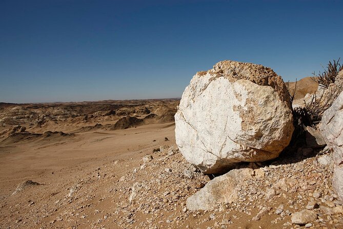 Welwitschia Tour from Swakopmund - Starting from Swakopmund at 2:00 pm
