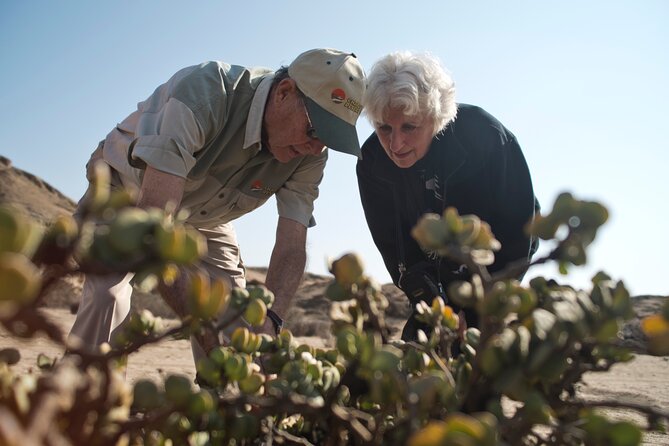 Welwitschia Tour from Swakopmund - What the $55.39 price really covers
