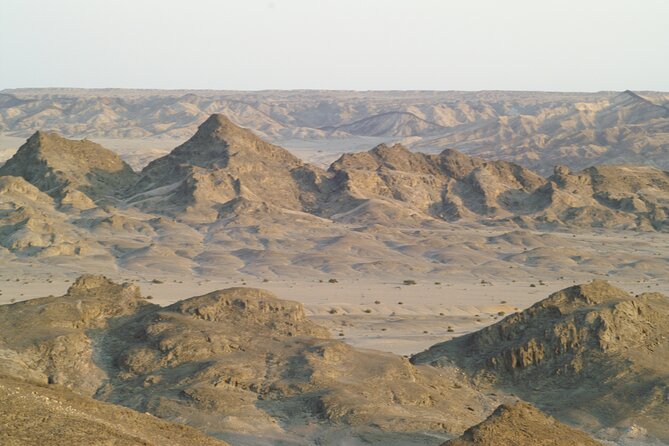 Welwitschia Tour from Swakopmund - Who will get the most from this tour