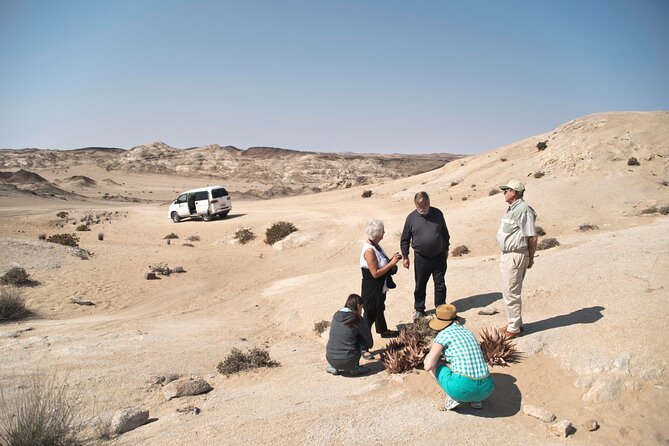 Welwitschia Tour from Swakopmund - The 4x4 ride makes self-driving less stressful